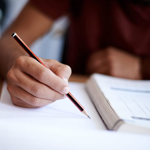 Student’s language Courses